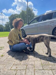 Spiegelen met honden Kwispelbuddy